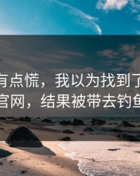 说实话有点慌，我以为找到了kaiyun中国官网，结果被带去钓鱼链接
