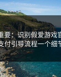 冷门但重要：识别假爱游戏官方网站其实看支付引导流程一个细节就够了