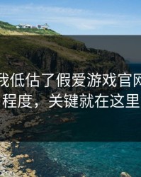 我承认我低估了假爱游戏官网的逼真程度，关键就在这里