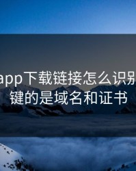 华体会app下载链接怎么识别…最关键的是域名和证书