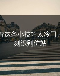 开云体育这条小技巧太冷门，却能立刻识别仿站