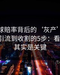 澳门足球賠率背后的‘灰产’怎么运作：从引流到收割的5步：看似小事，其实是关键