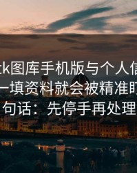 关于99tk图库手机版与个人信息：为什么你一填资料就会被精准盯上：一句话：先停手再处理