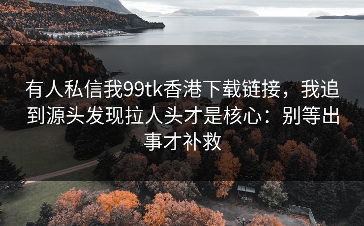 有人私信我99tk香港下载链接，我追到源头发现拉人头才是核心：别等出事才补救