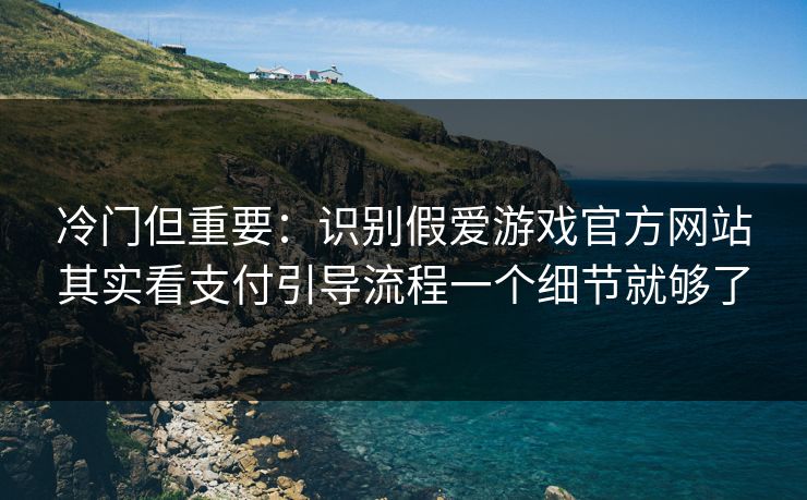 冷门但重要：识别假爱游戏官方网站其实看支付引导流程一个细节就够了