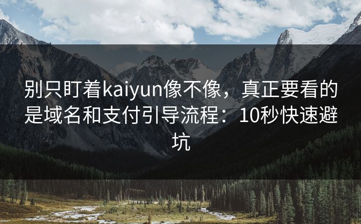 别只盯着kaiyun像不像,真正要看的是域名和支付引导流程:10秒快速避坑 别只盯着kaiyun像不像,真正要看的是域名和支付引导流程:10秒快速避坑