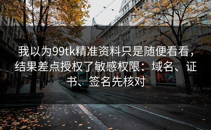 我以为99tk精准资料只是随便看看，结果差点授权了敏感权限：域名、证书、签名先核对
