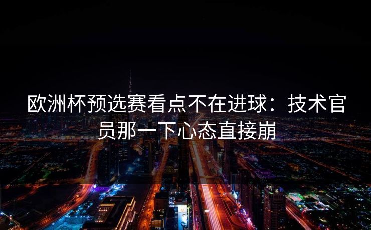 欧洲杯预选赛看点不在进球：技术官员那一下心态直接崩